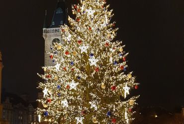 Rozsvícení vánočního stromu v Sádku